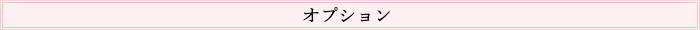 オプション