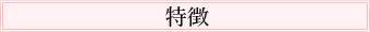 特徴